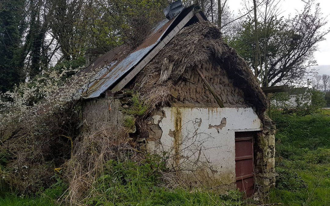Old Thatch Under A Tin Roof
